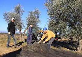 UPA advierte que el anticipo de la PAC que abona la Junta no corresponde al 70%