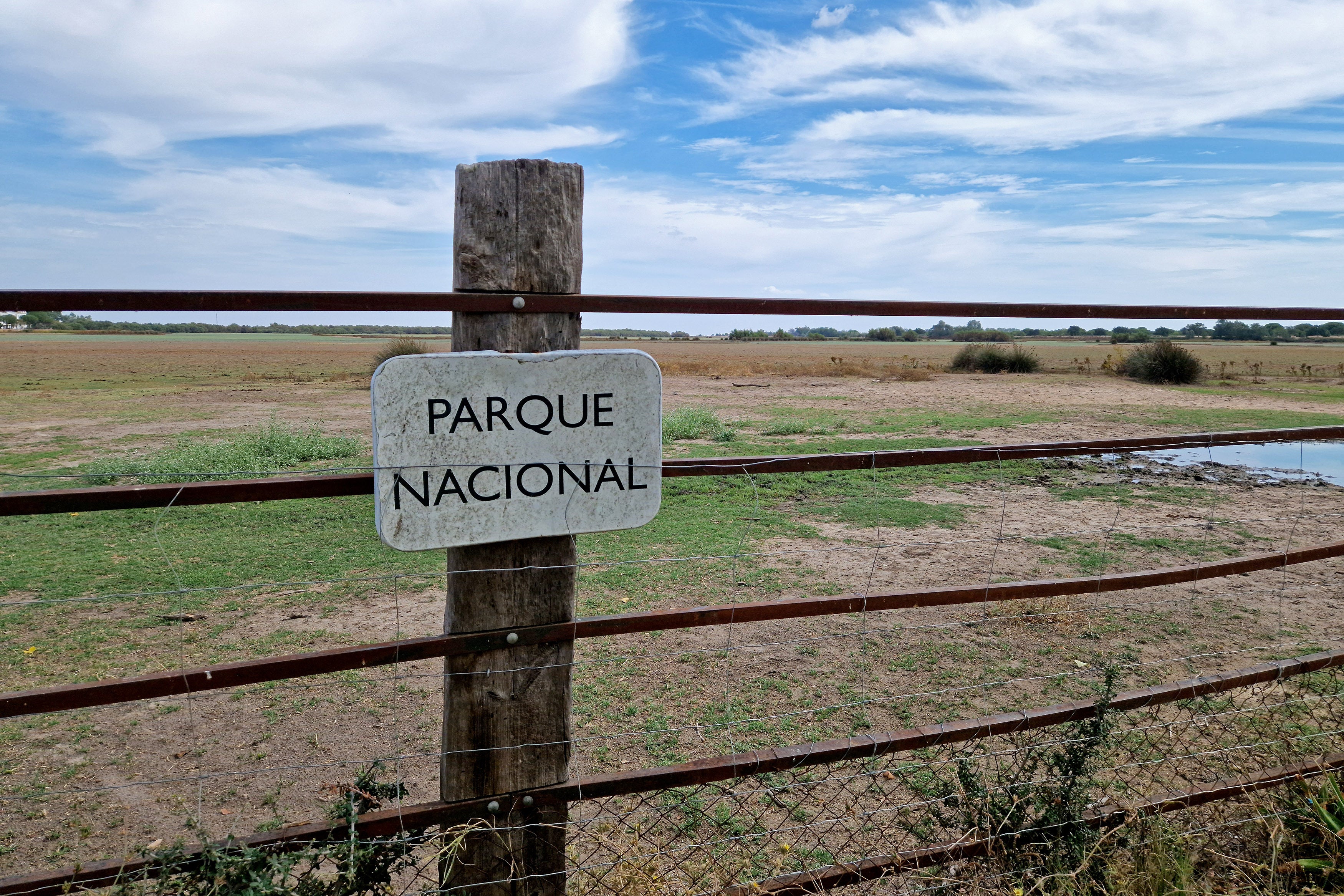 Parque Nacional de Doñana.