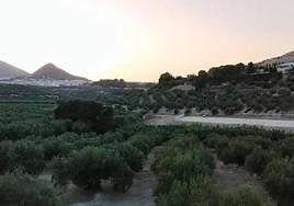 Trabajos en la parcela donde se construye la planta de secado de estiércol.