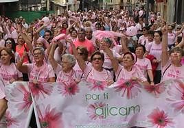 Imagen de archivo de la marcha rosa durante el año pasado.