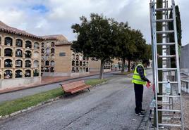 Algunas de las labores en los camposantos de Jaén.