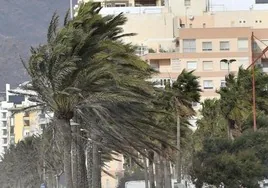 La borrasca Ciarán llega a Andalucía con vientos huracanados.
