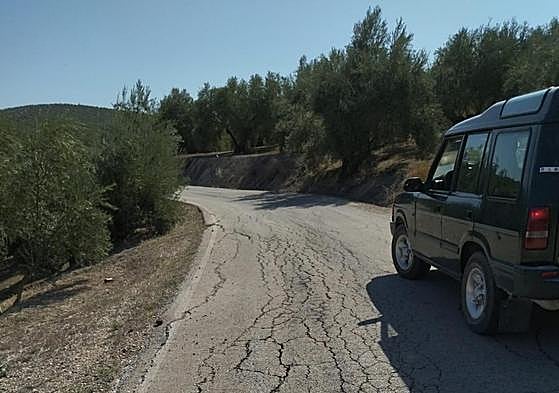Estado de la JV-3130 que une Torreperogil con Jódar.