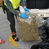 Pillado con 1.000 plantones de marihuana en su coche por la A-92 en Granada