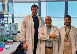 En la imagen, de izquierda a derecha, Jorge Cerón, Pedro J. Real y Gonzalo Martínez, investigadores del Departamento de Bioquímica y Biología Molecular I de la UGR y GENyO..