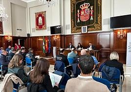 La reunión ha tenido lugar en la Subdelegación del Gobierno de España de Jaén.