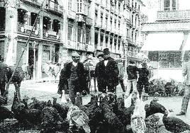 Pavos en la Plaza del Carmen.