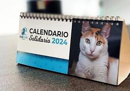 Empezar el 2024 salvando a un amigo gatuno