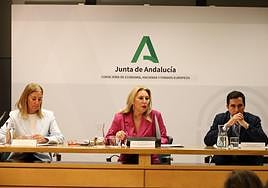 La consejera, Carolina España, junto a la viceconsejera, Amelia Martínez, y el secretario general de Hacienda, Manuel Vázquez.