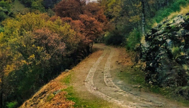 Imagen secundaria 1 - Los colores en pleno otoño son espectaculares a lo largo del camino.