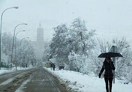 Llega un latigazo invernal a Andalucía: estos serán sus efectos.