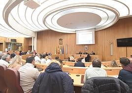 Reunión de un centenar de alcaldes de Granada en la Diputación.