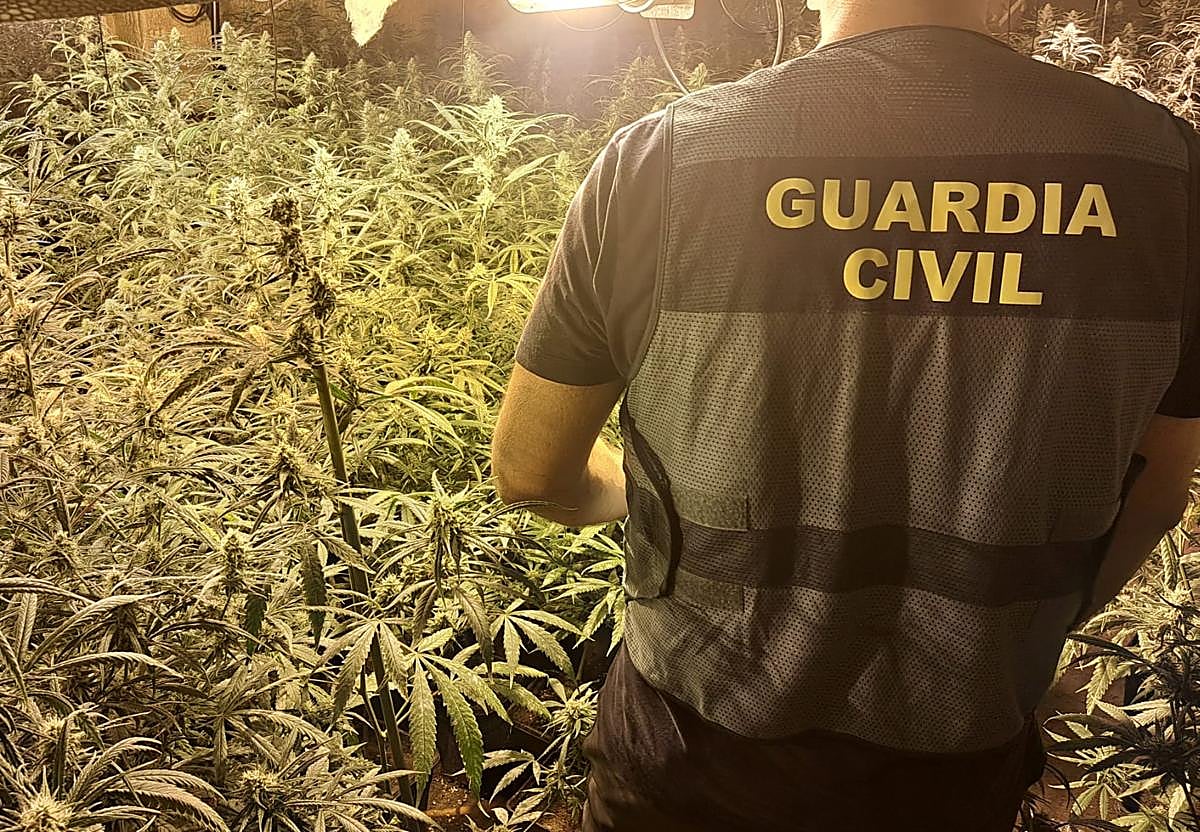 Una de las operaciones contra la marihuana en Granada.