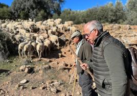 El delegado Jesús Estrella junto al un pastor en la jornada de trashumancia.