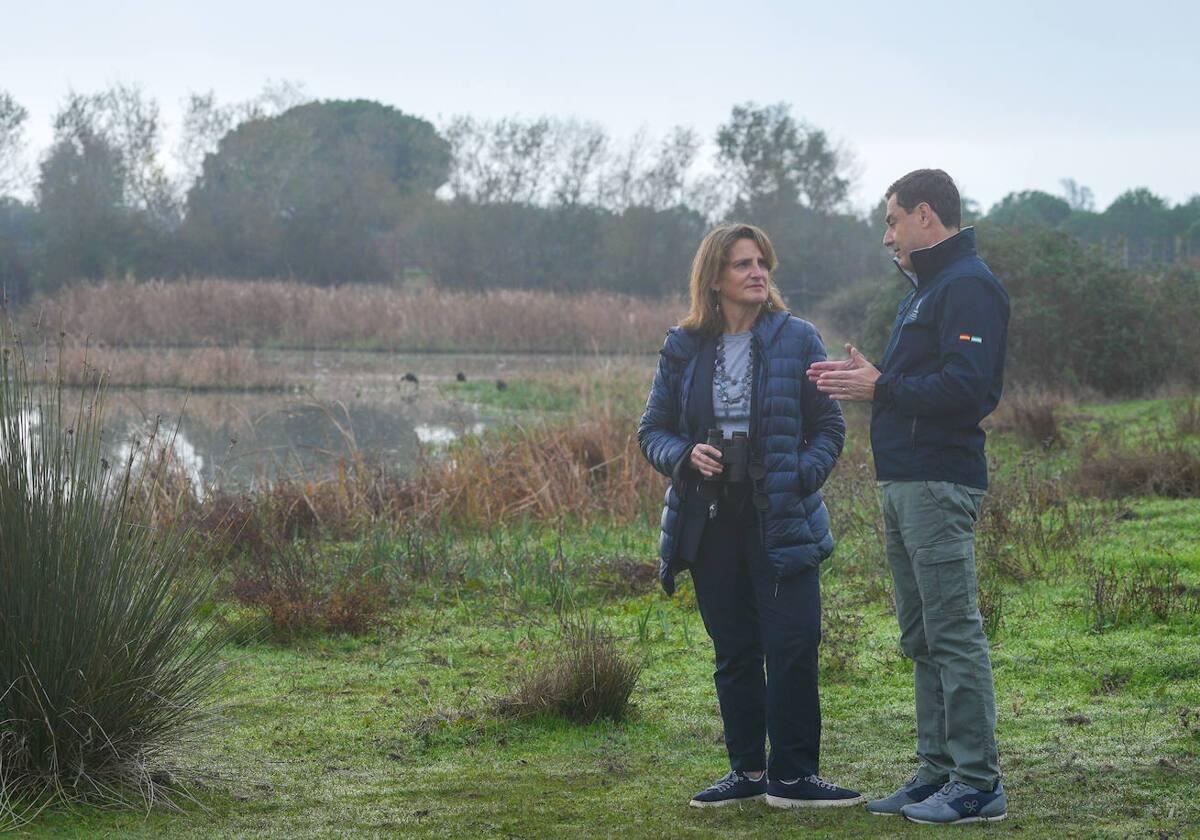 Teresa Ribera y Juanma Moreno, este lunes en el Parque Nacional de Doñana Francisco J. Olmo.