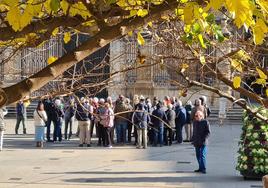 Grupo de turistas ante la Catedral de Jaén, este lunes.