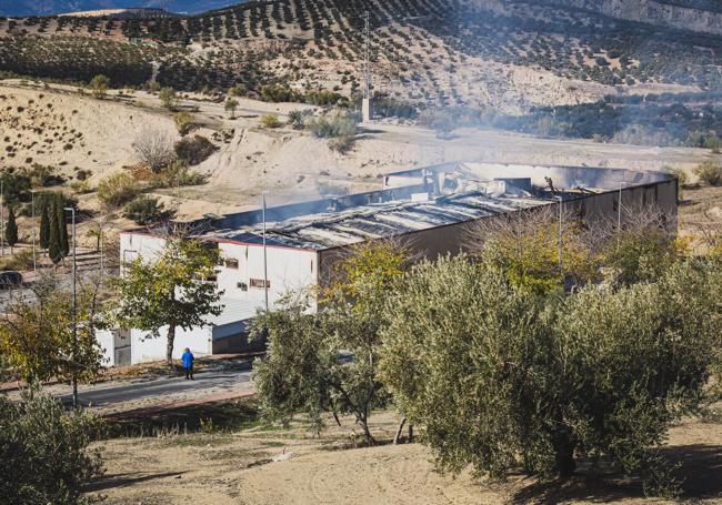 Las imágenes de la fábrica de pan quemada.