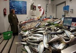 El mejor supermercado para comprar pescado según la OCU.