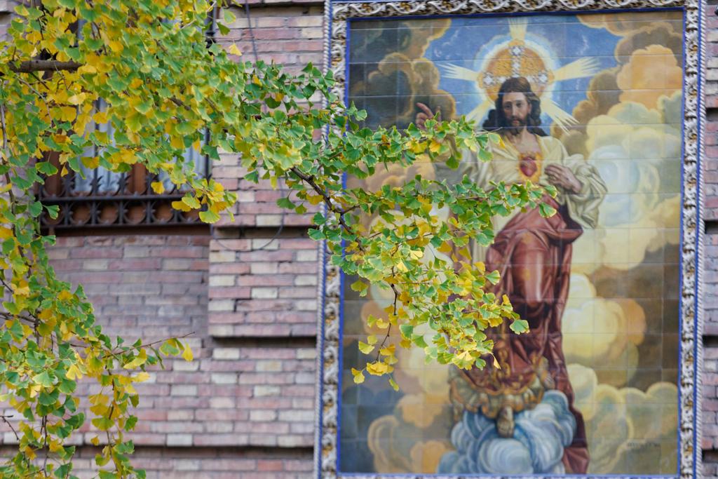 Las imágenes de los ginkgo biloba en la Gran Vía de Granada