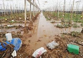 El cambio climático 'costará' 1.288 millones de euros al campo almeriense hasta 2030