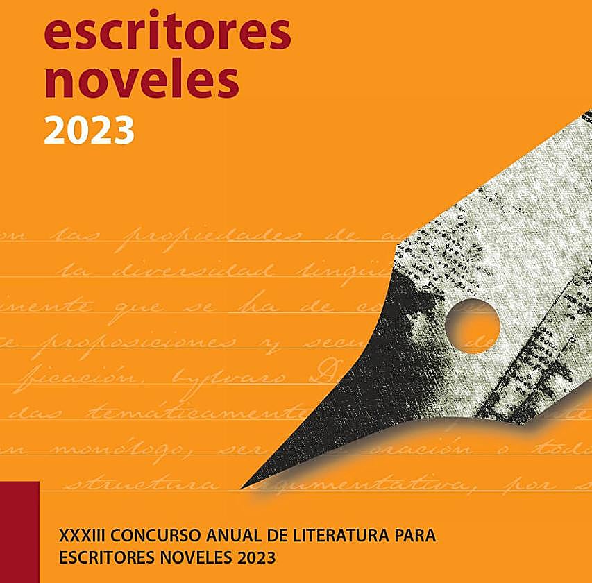 Cartel con el que se anuncia el concurso de Diputación.