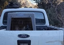 Investigado por matar un jabalí en el Parque Natural de Cazorla, Segura y Las Villas