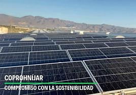 Coprohníjar instala placas solares para autoconsumo en su planta Eco