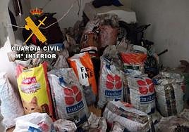 Aceituna robada que posteriormente fue recuperada.