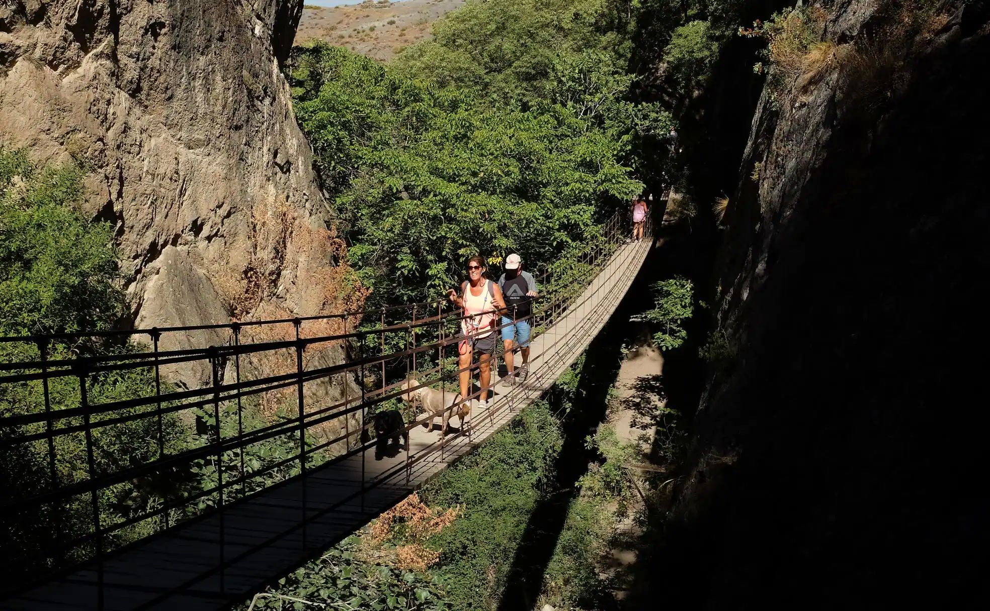 La vegetación llega a esconder el final del puente al otro lado.