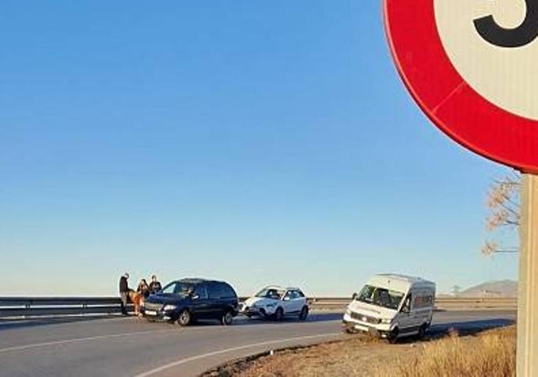 Las agentes de la Policía Local de Peligros y un ciudadano en el momento de lograr retener al poni suelto.