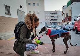 Una joven limpia la orina de su perro.