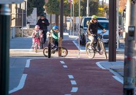 Carril bici de la renovada Avenida Fernando de los Ríos.