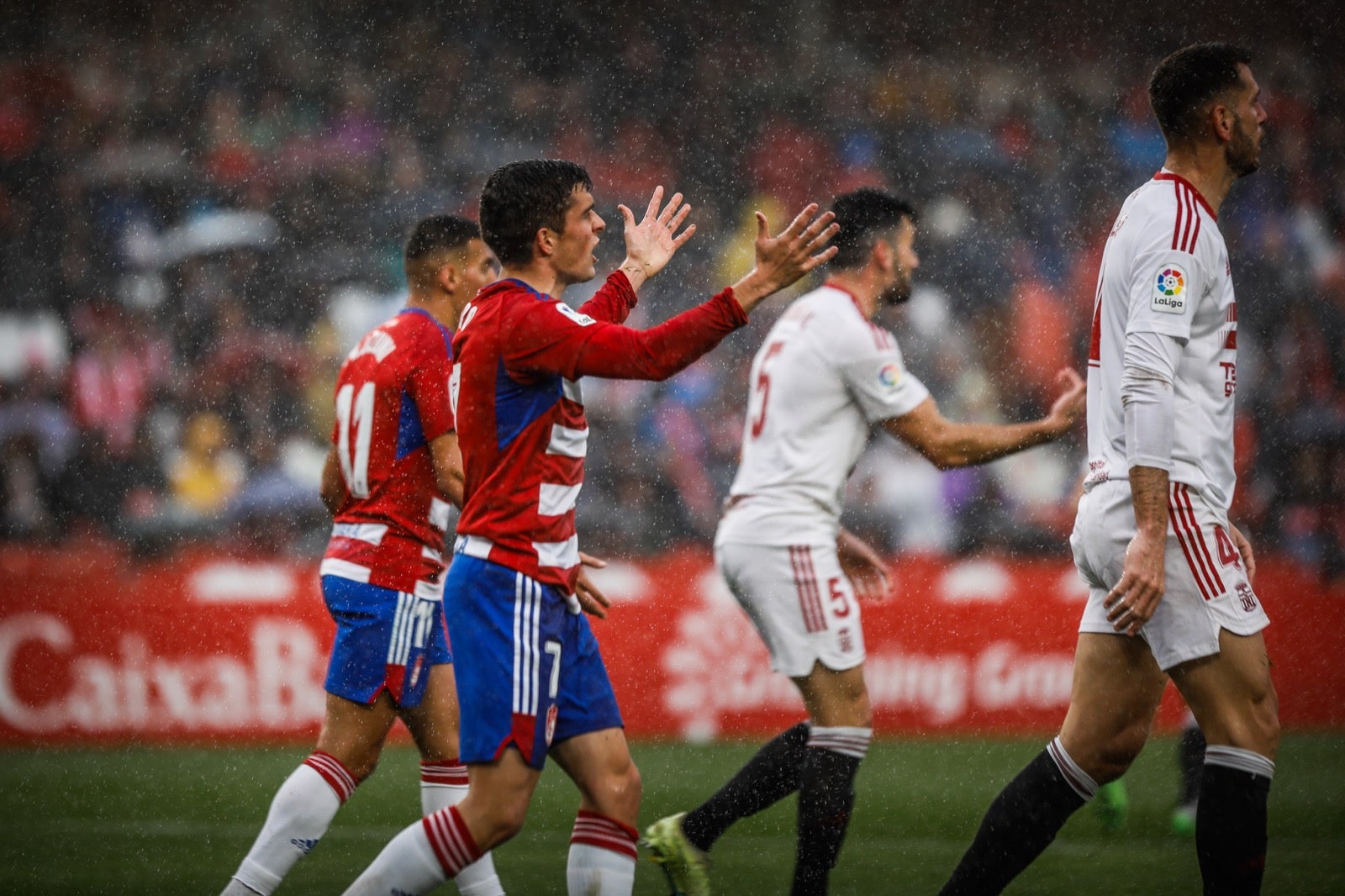 Las mejores imágenes del partido disputado en Los Cármenes