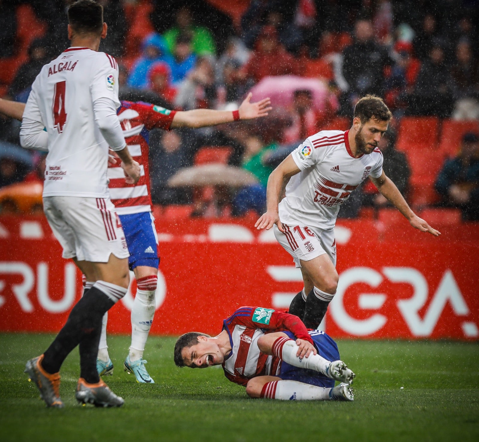 Las mejores imágenes del partido disputado en Los Cármenes