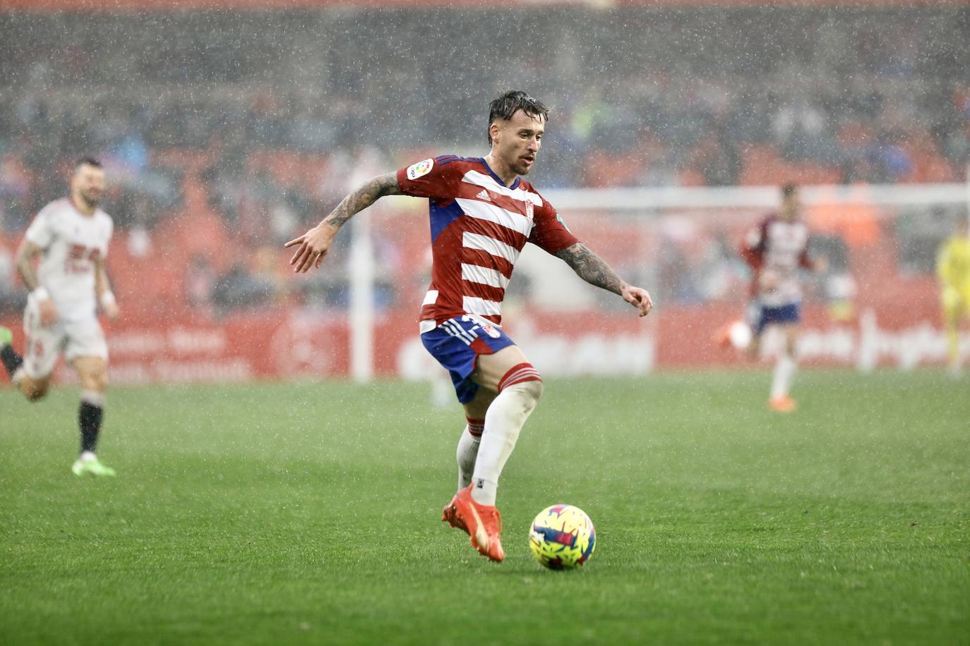 Las mejores imágenes del partido disputado en Los Cármenes