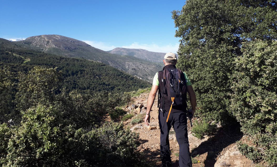 Ruta La Solana del Gato. 