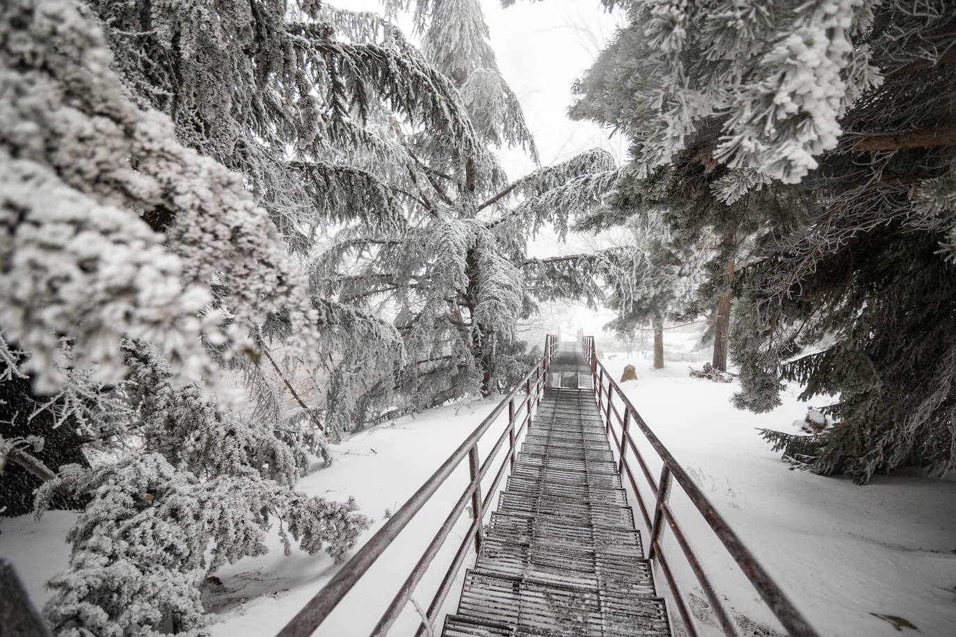 La estación de esquí de Sierra Nevada acumula 15 centímetros de nieve este miércoles