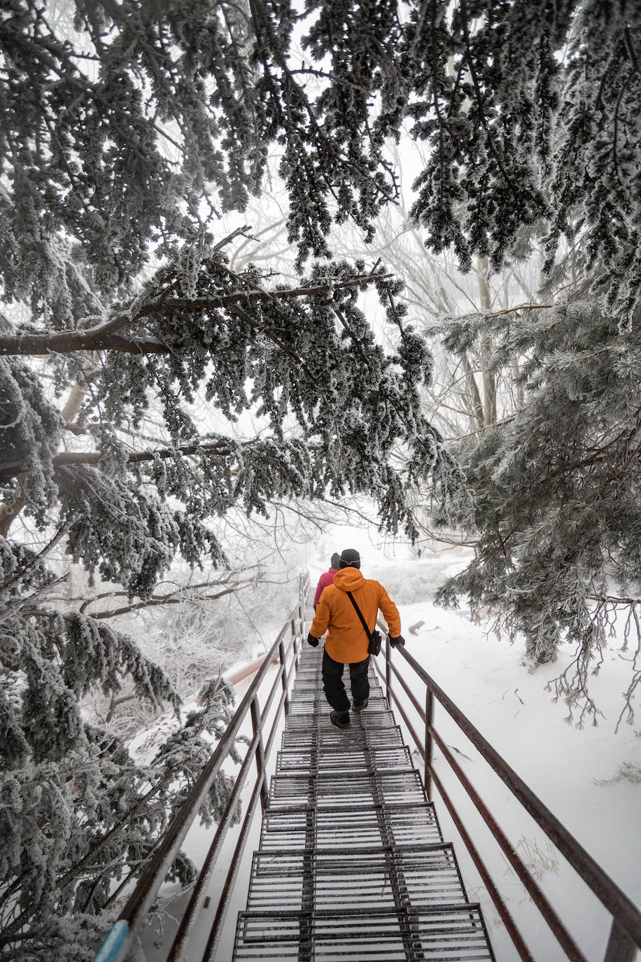 La estación de esquí de Sierra Nevada acumula 15 centímetros de nieve este miércoles