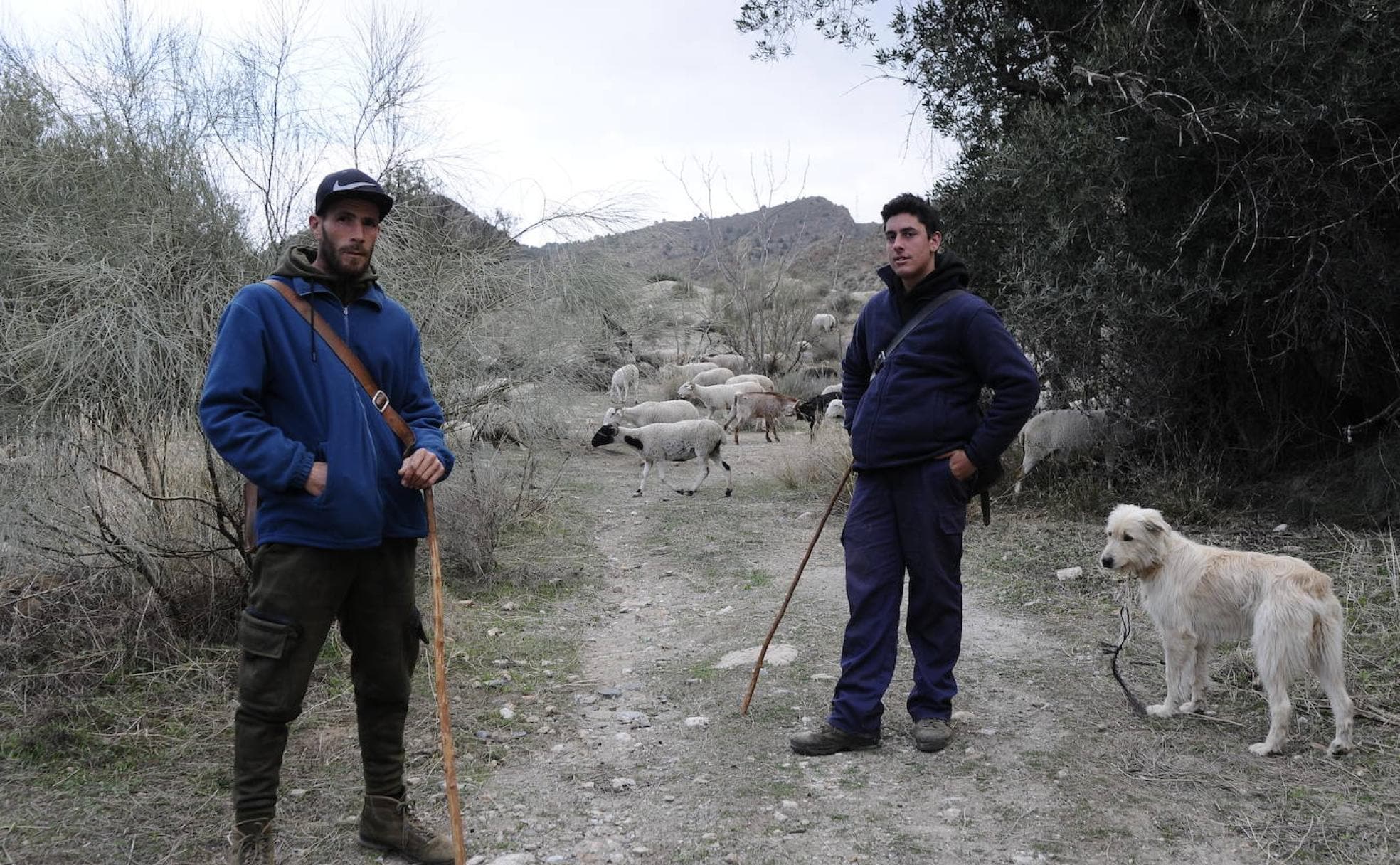 Abraham (derecha) es el pastor de 16 años de la Alpujarra granadina. En la imagen aparece junto a su ayudante Dani. 