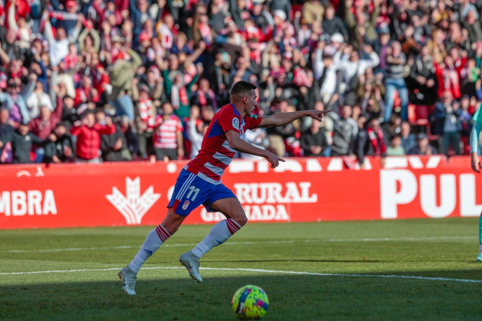 Las mejores imágenes del partido disputado en Los Cármenes