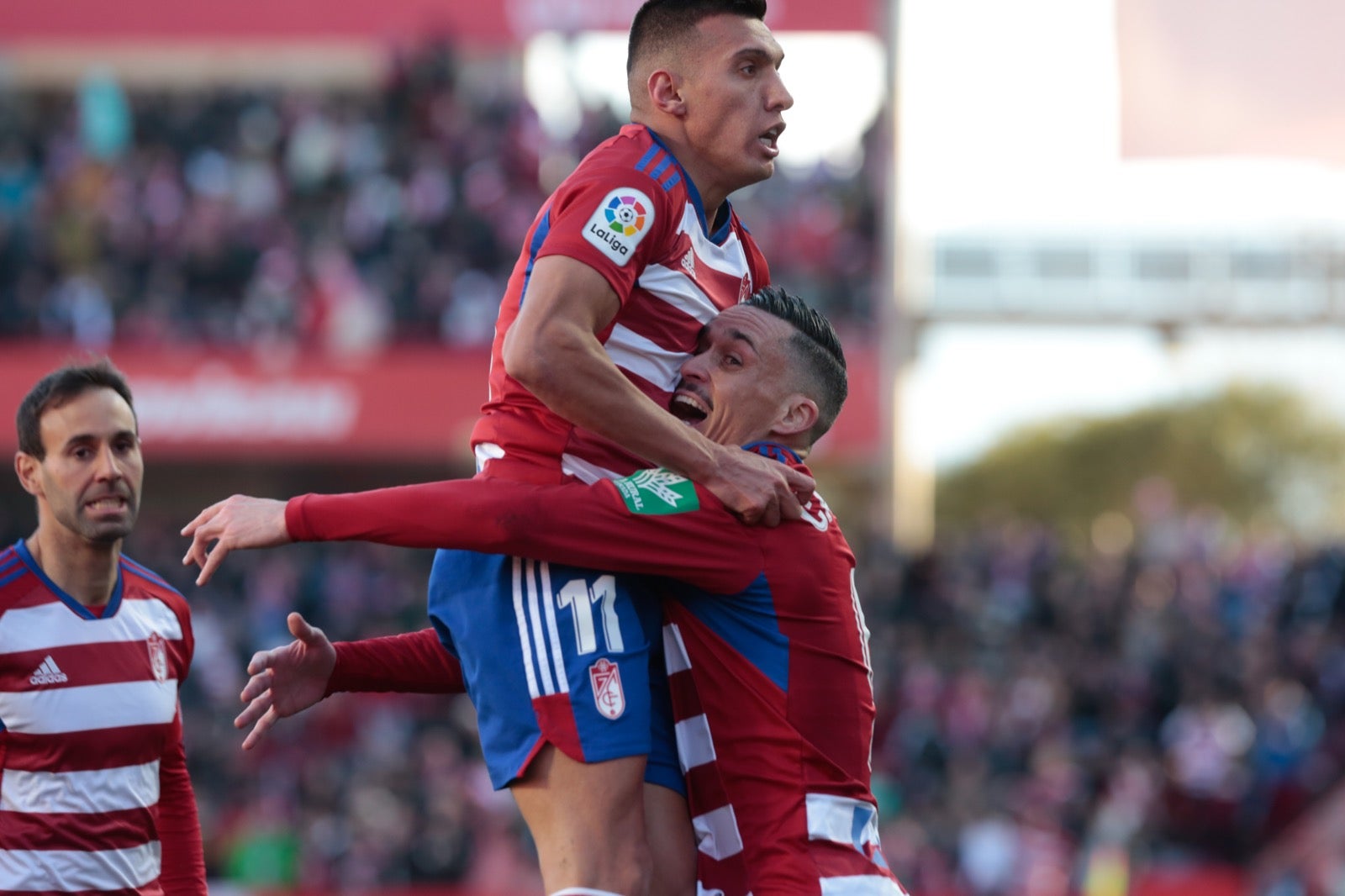 Las mejores imágenes del partido disputado en Los Cármenes