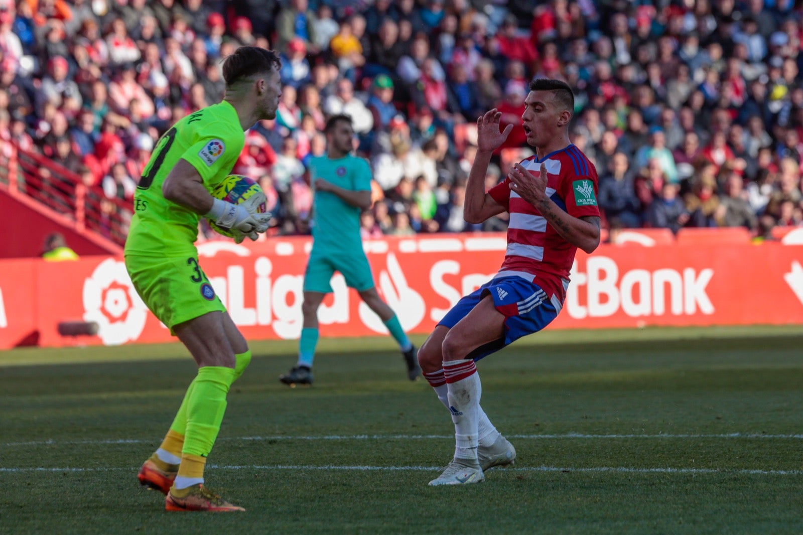 Las mejores imágenes del partido disputado en Los Cármenes