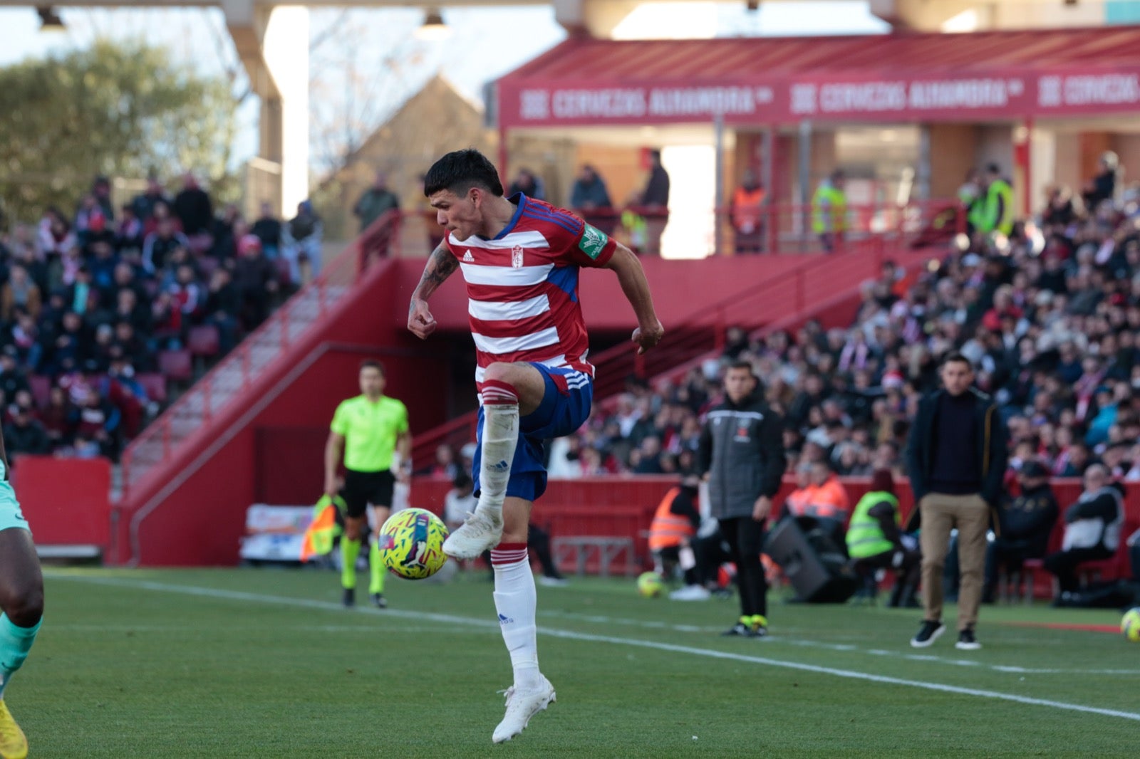 Las mejores imágenes del partido disputado en Los Cármenes