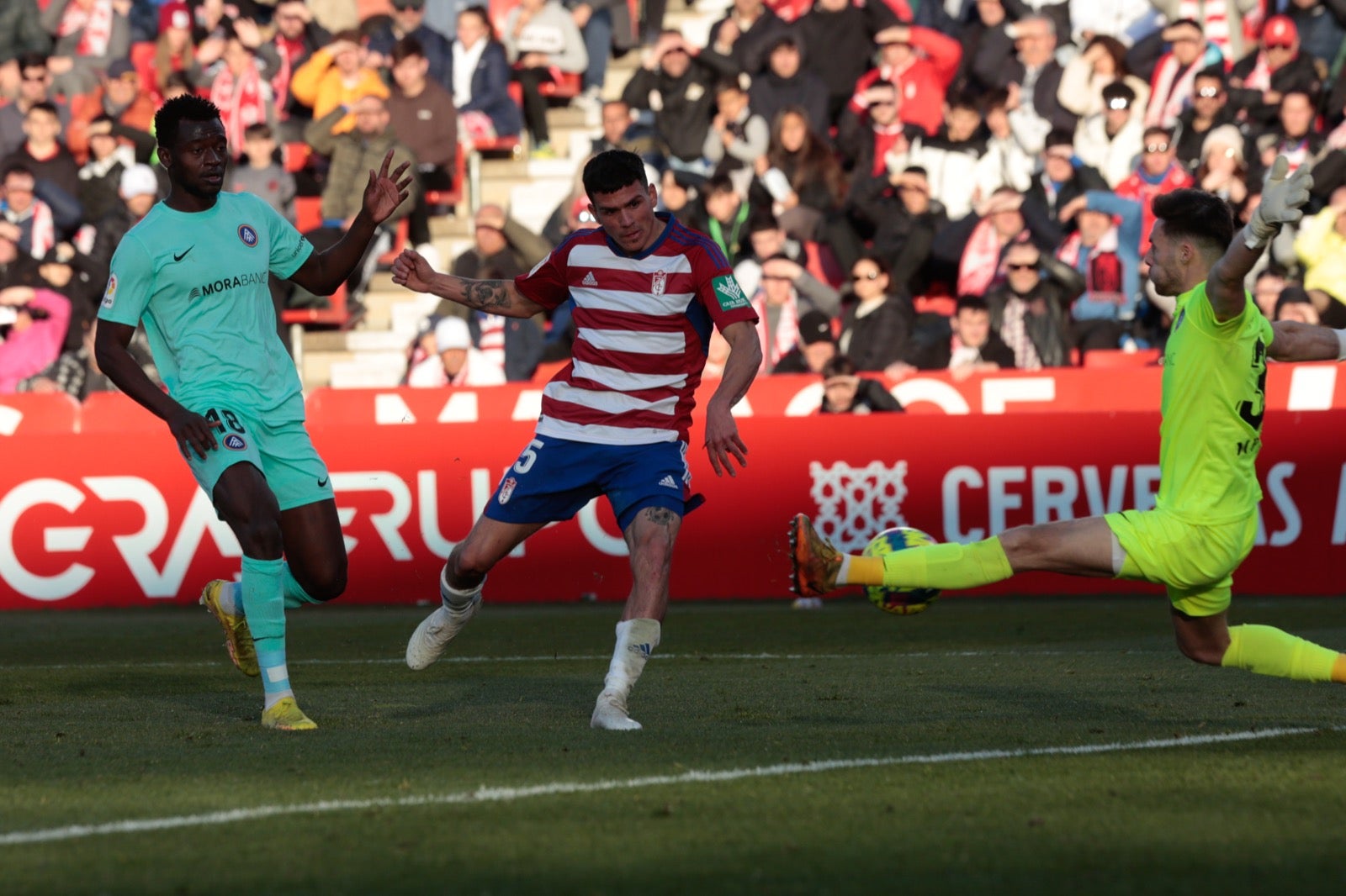 Las mejores imágenes del partido disputado en Los Cármenes