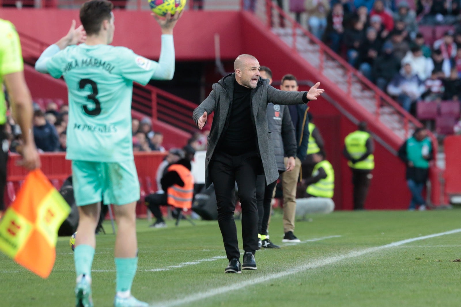 Las mejores imágenes del partido disputado en Los Cármenes