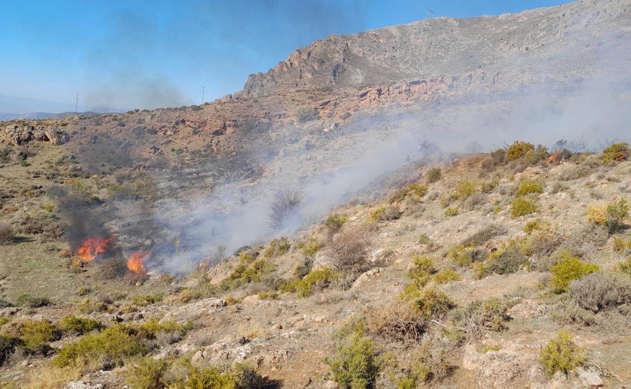 Declarado un incendio en Güejar Sierra. 