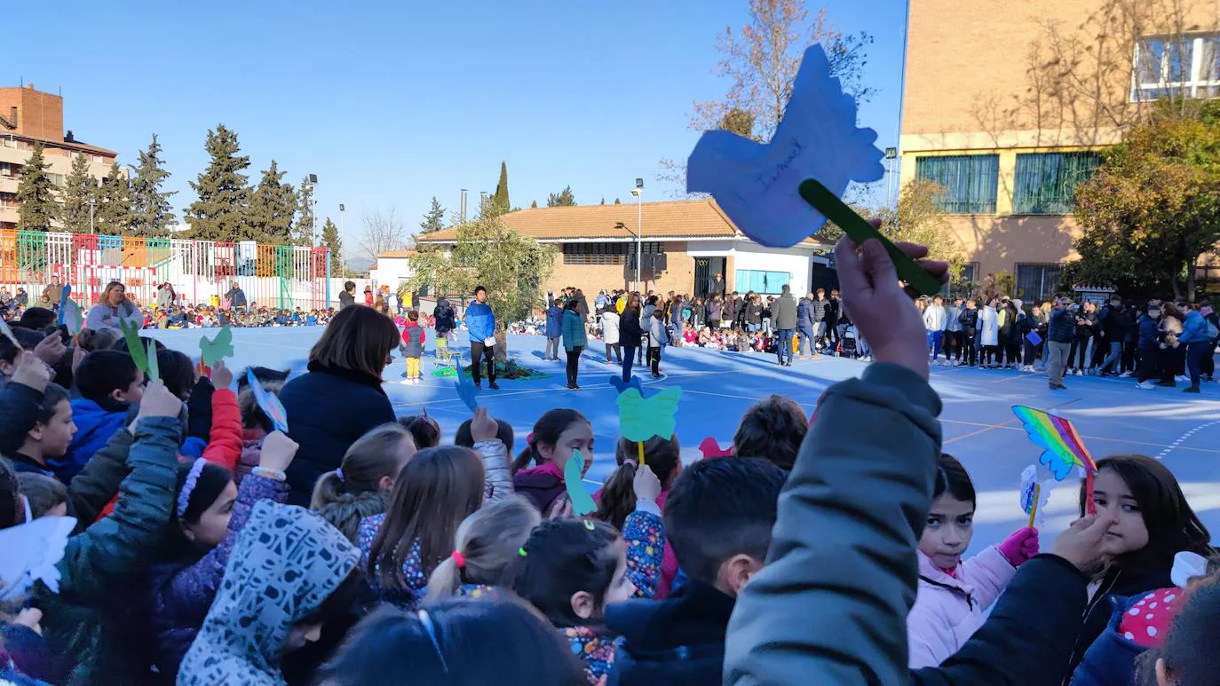 Fotos: Día de la Paz en el colegio Jesús María Cristo de la Yedra de Granada