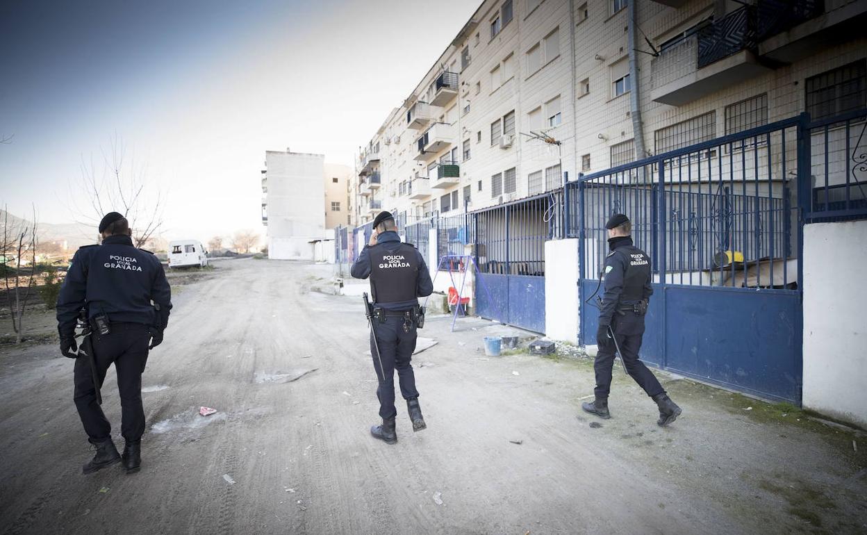 Actuación de la Policía Local de Granada.
