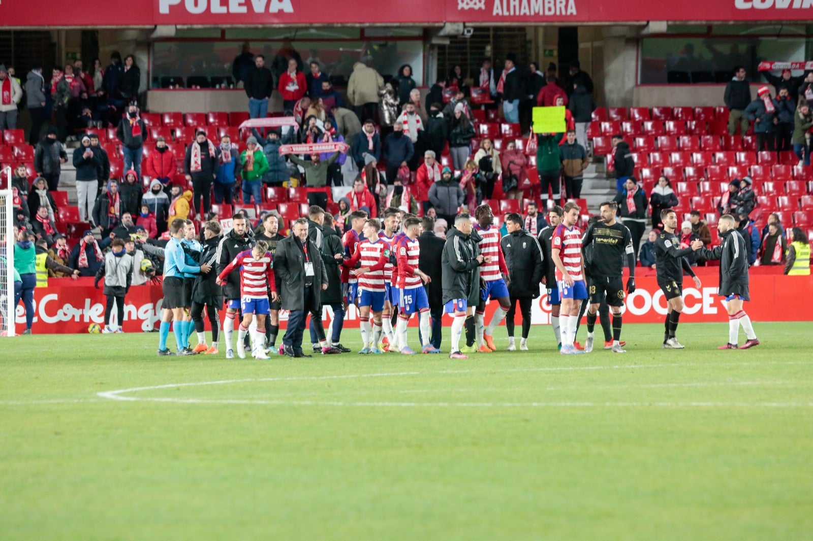 Las mejores imágenes del partido disputado en Los Cármenes