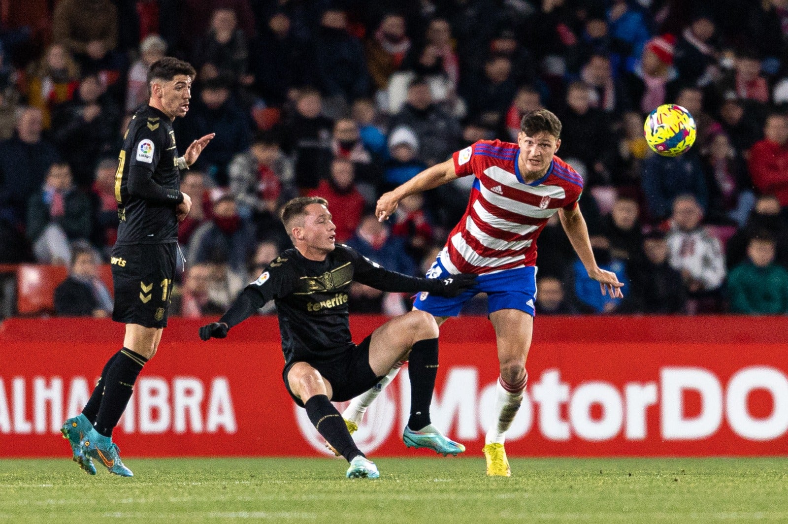 Las mejores imágenes del partido disputado en Los Cármenes